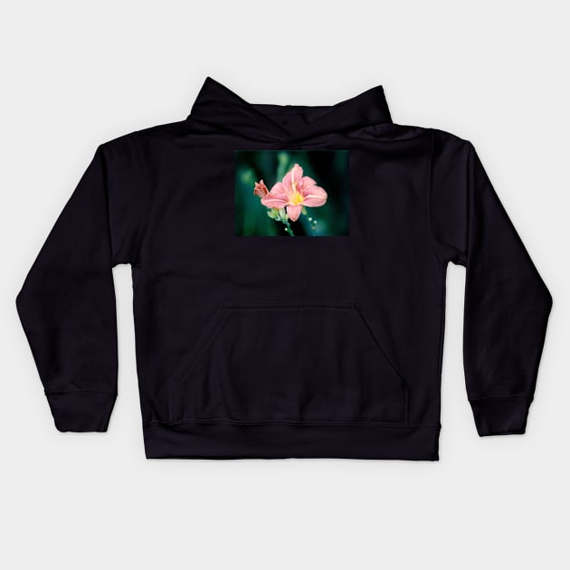 Daylily (Hemerocallis) Kids Hoodie by acespace